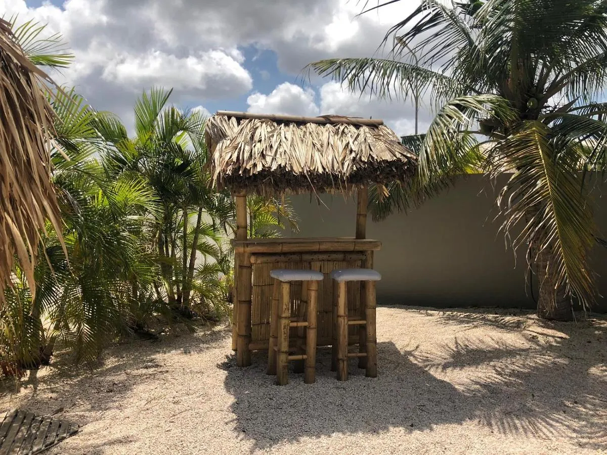 Caribbean Oasis Apartments Willemstad